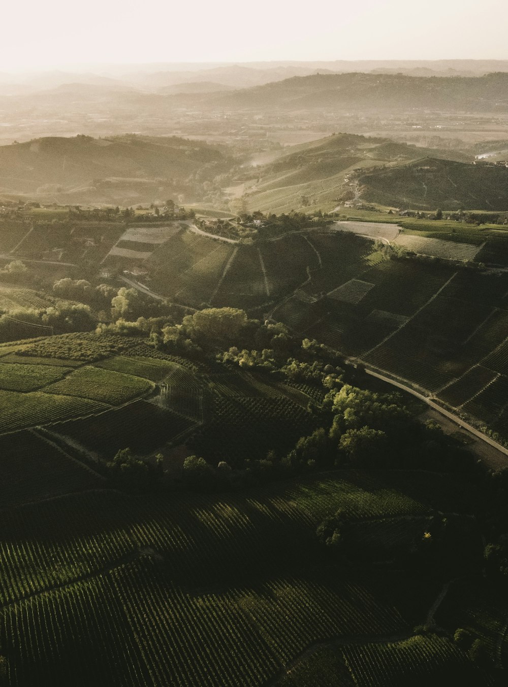 aerial view of grass field