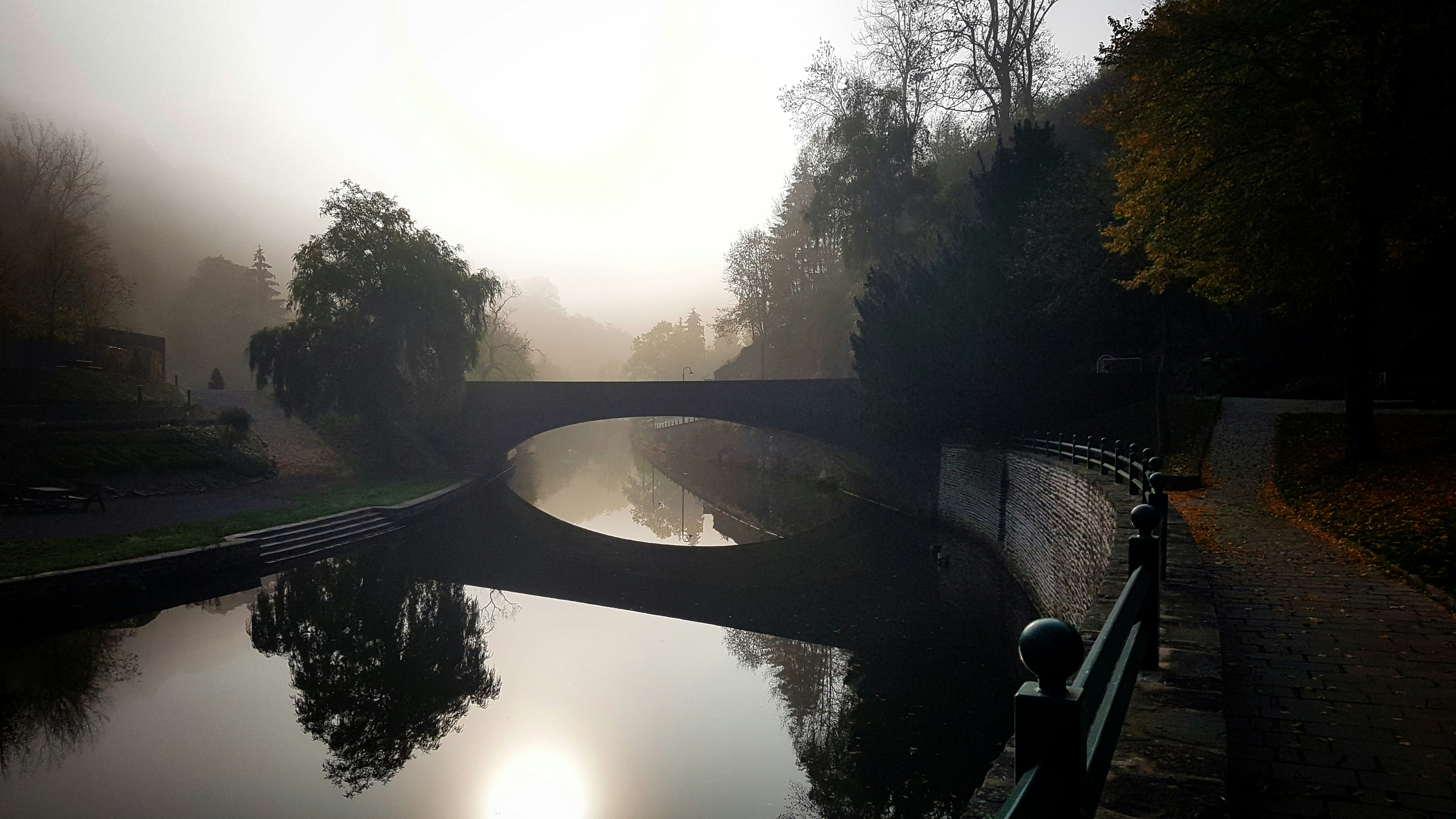 Photo by michelstock