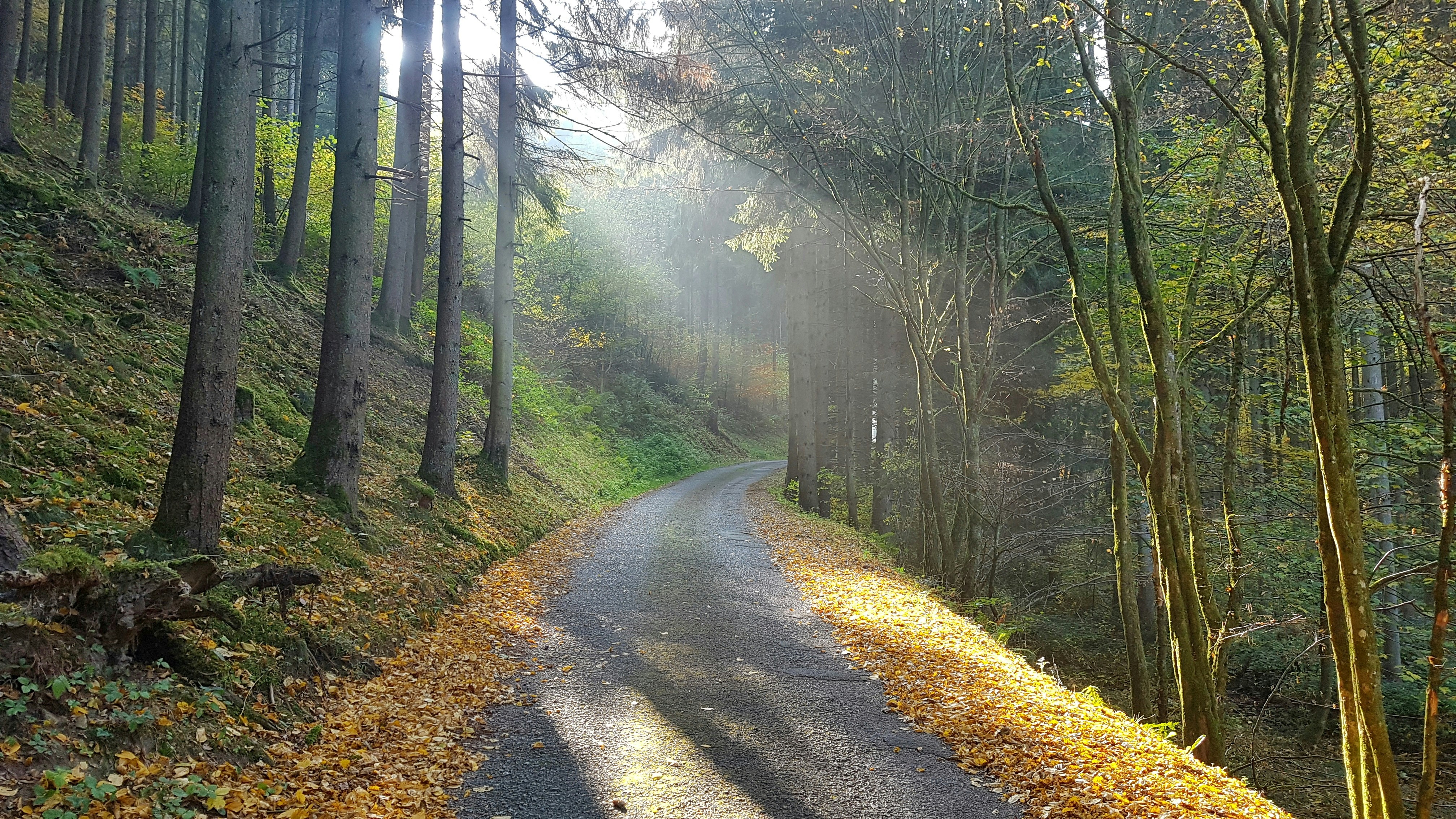 Photo by michelstock