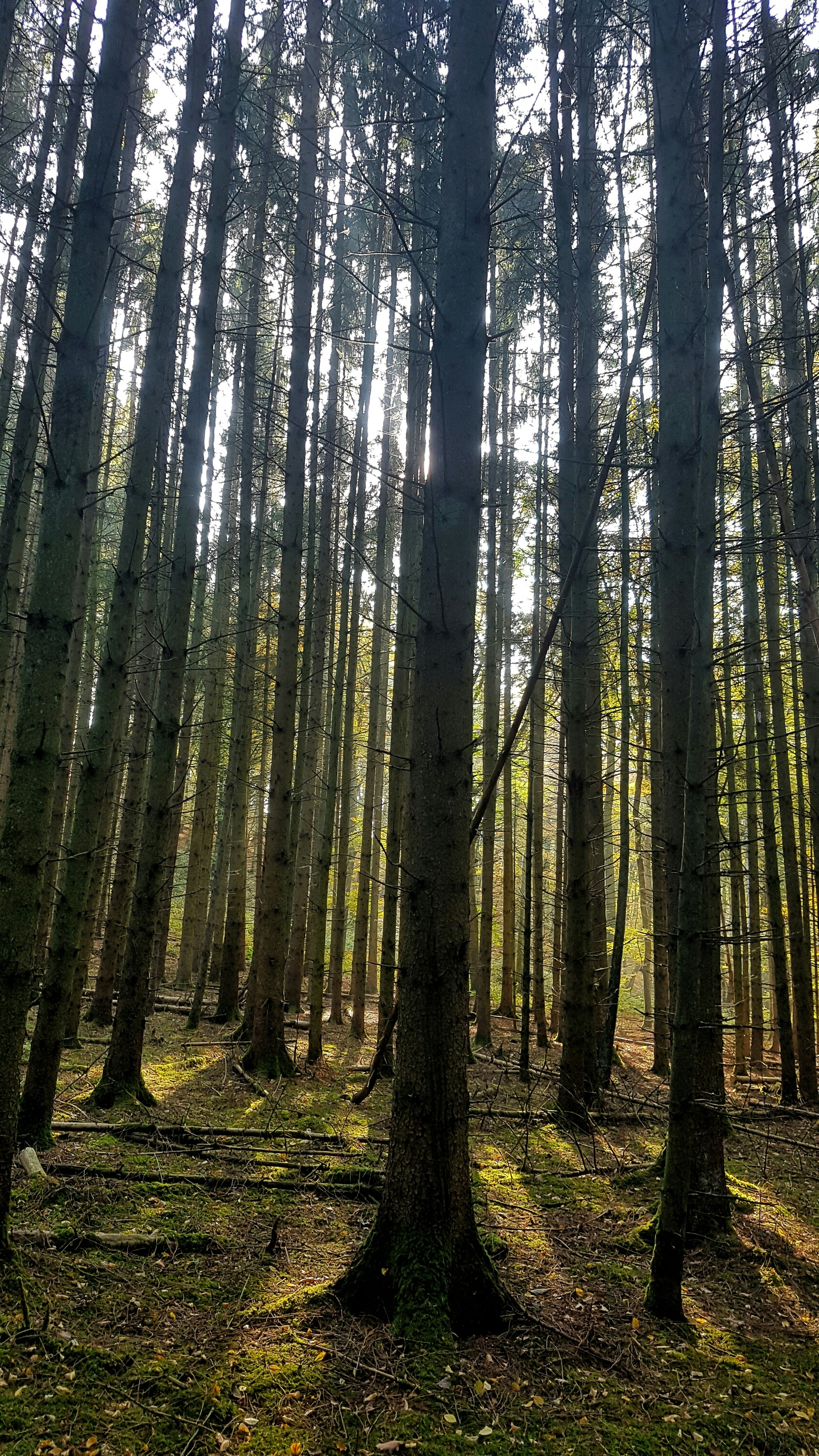 Photo by michelstock