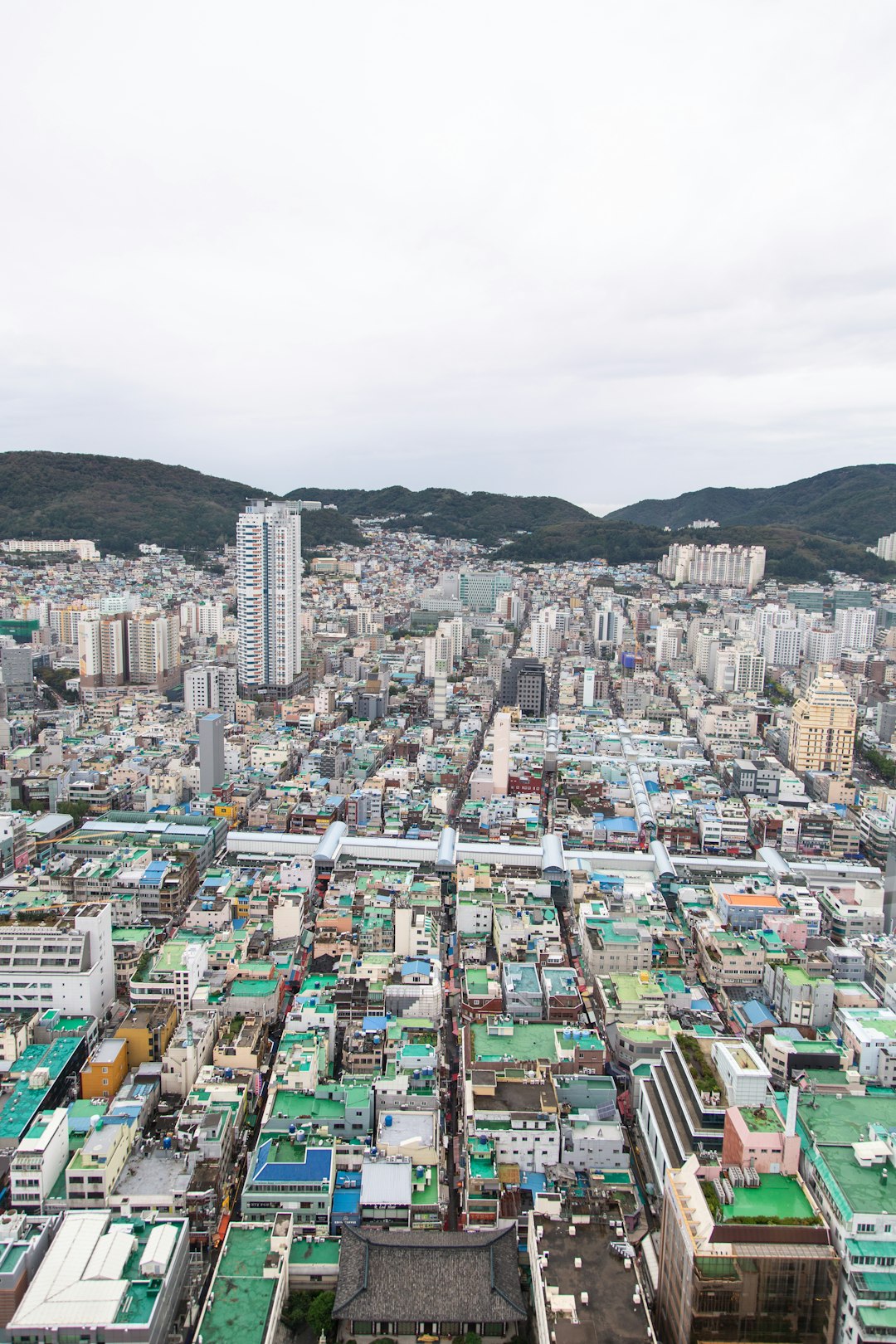 Town photo spot Busan Gamcheon Culture Village