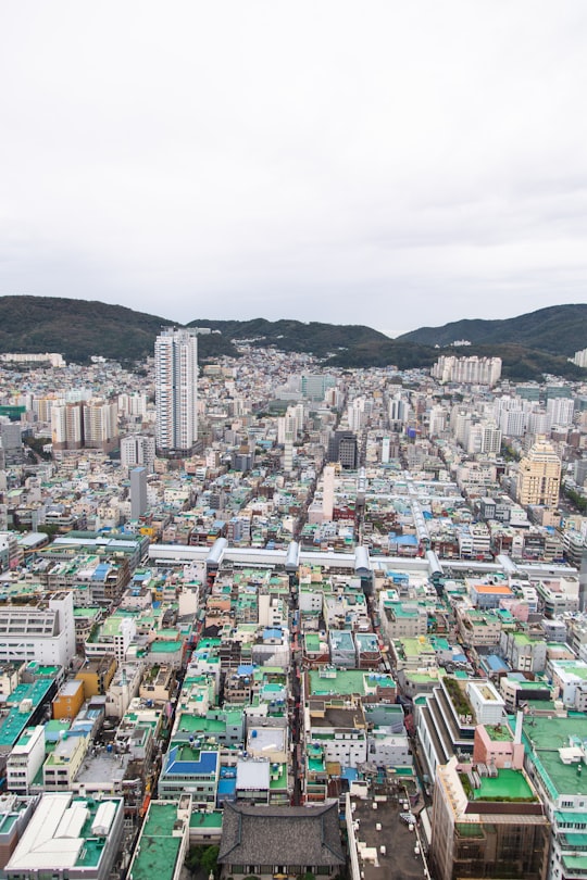aerial photo of high rise buildings in Busan South Korea