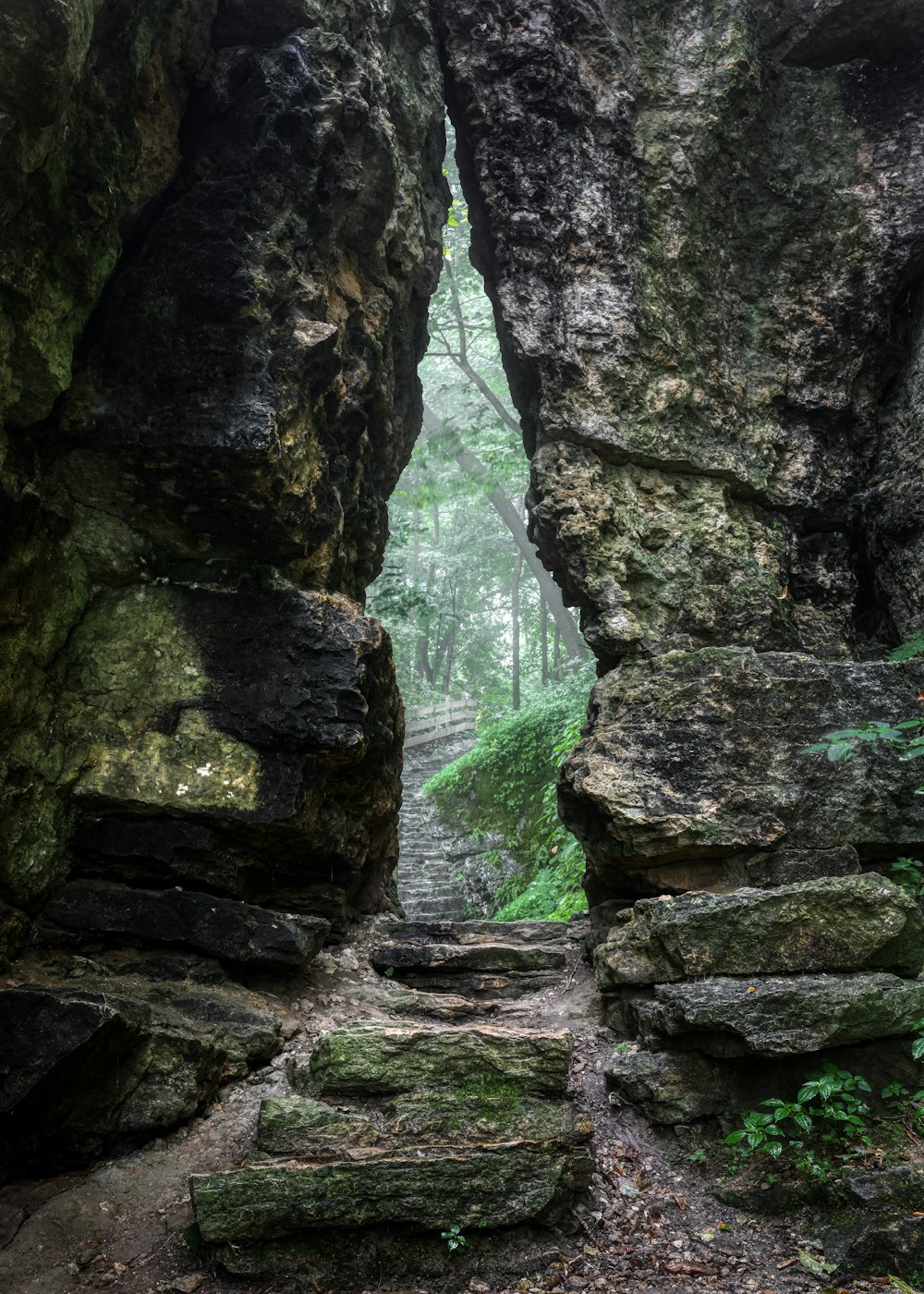 a rocky path with moss growing between two large rocks