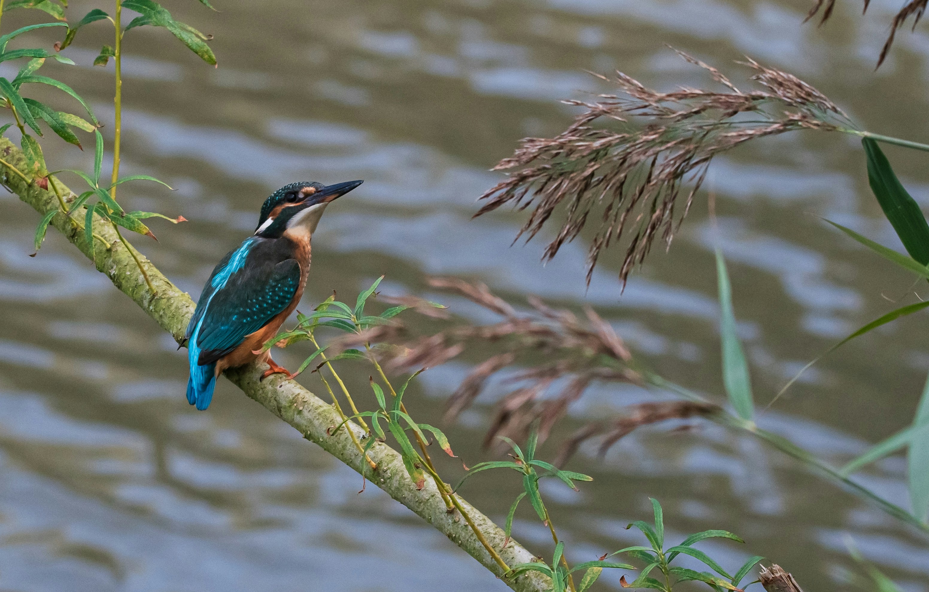 Photo by photosmadebydannyl