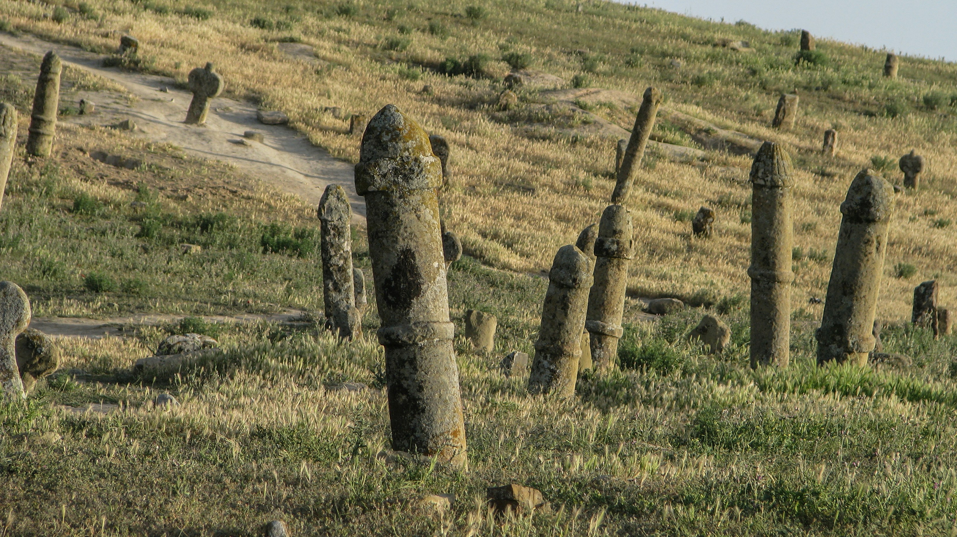 stone poles on grasslands