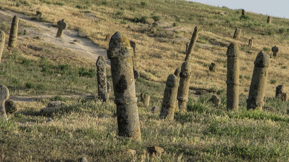 stone poles on grasslands