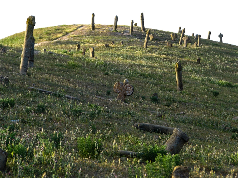 postes en la colina