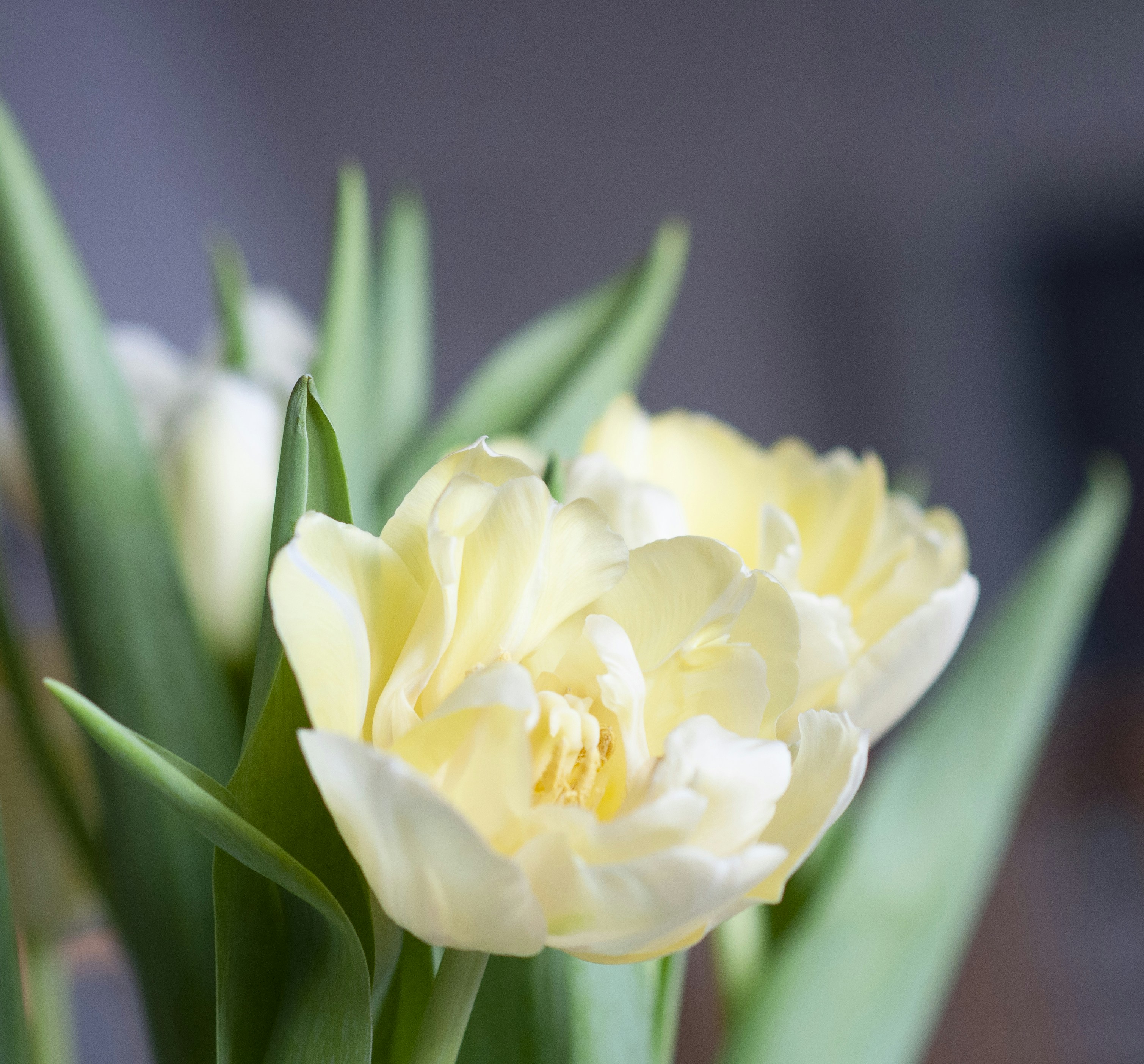 Photo by sommarvinden