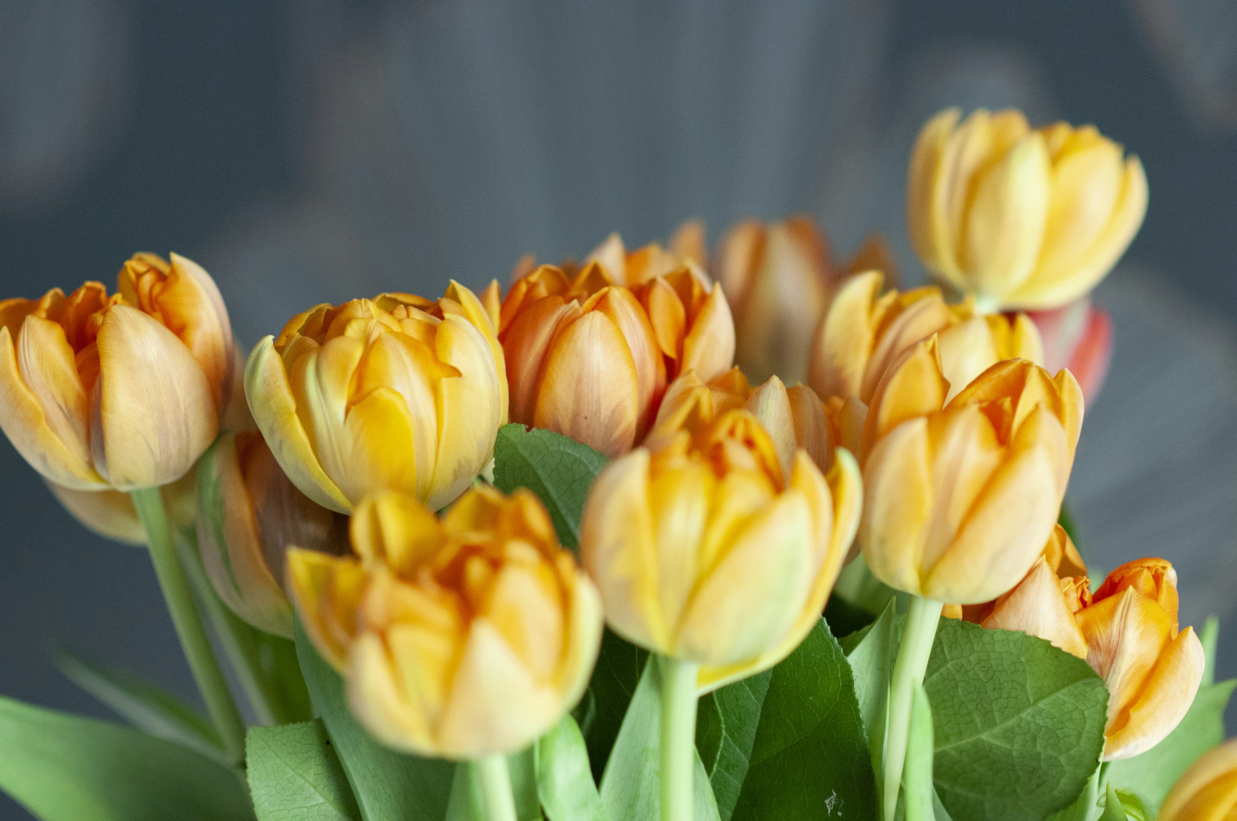 Photo by sommarvinden