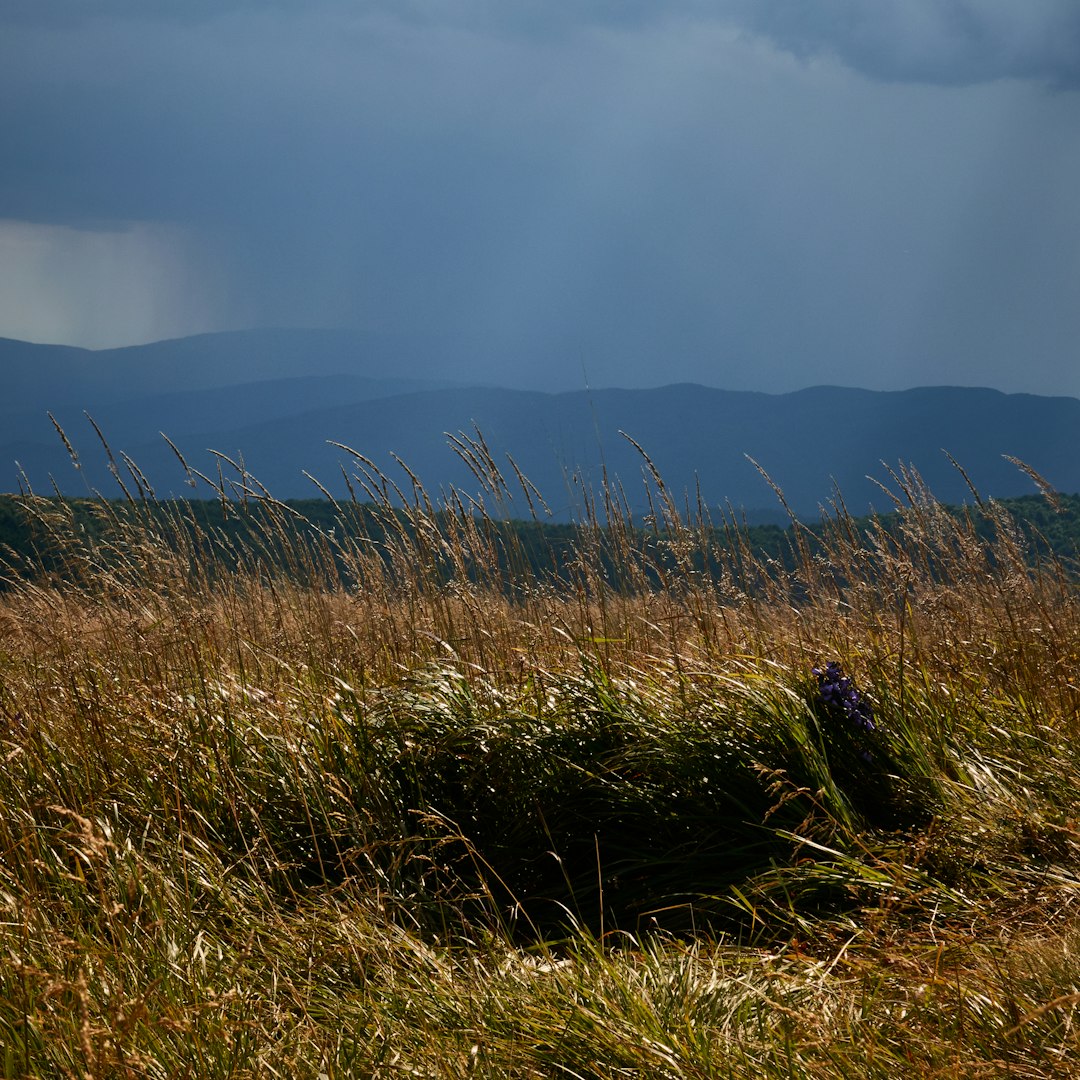travelers stories about Hill in Bieszczady, Poland