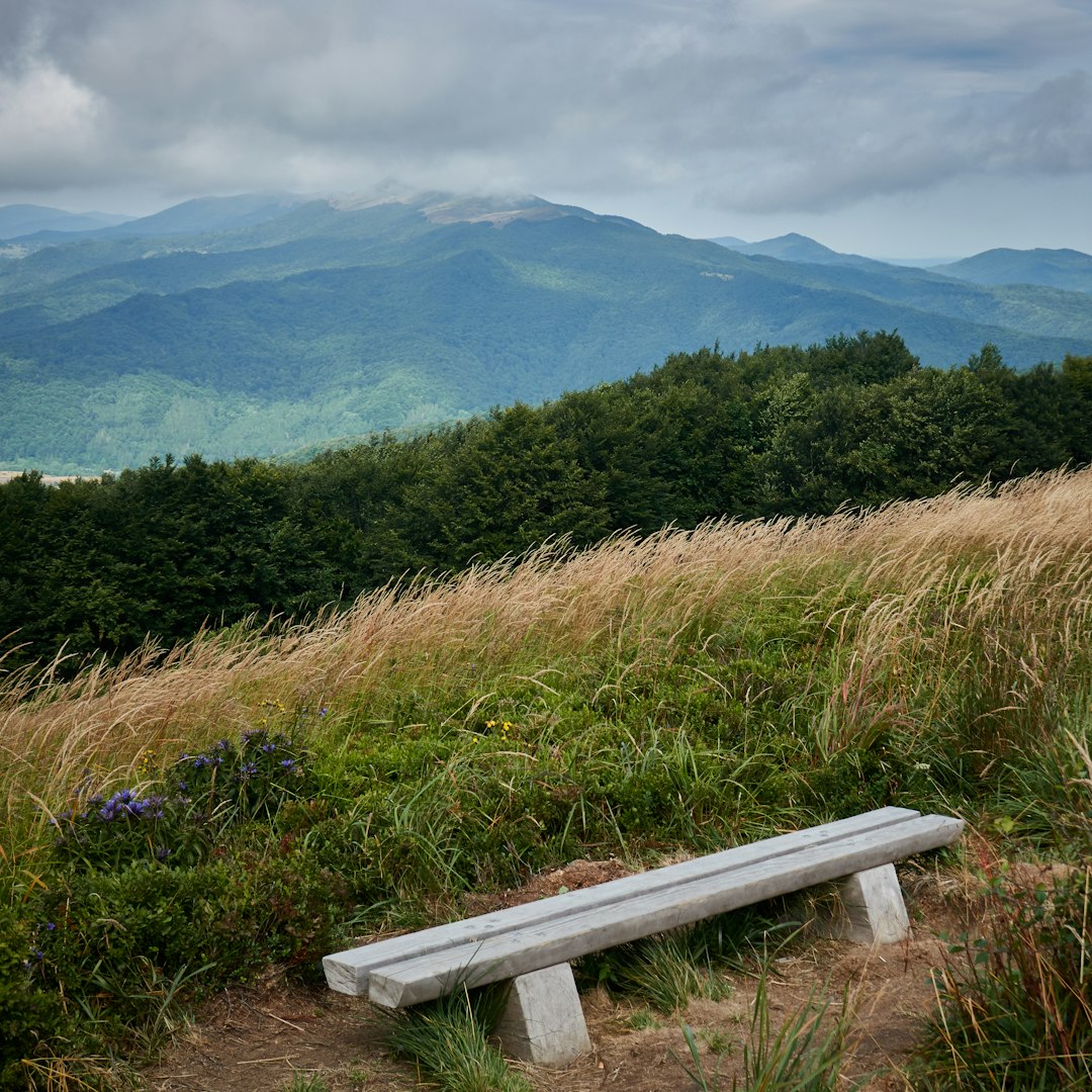 travelers stories about Hill in Bieszczady, Poland