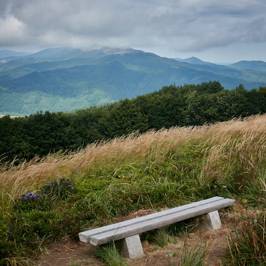 picture of Hill from travel guide of Bieszczady