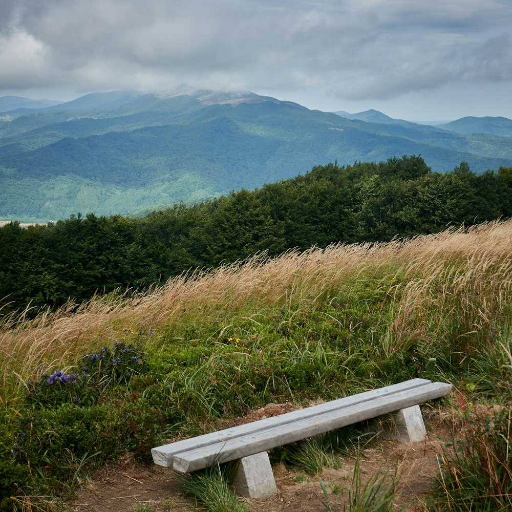 empty bench near grass at daytime