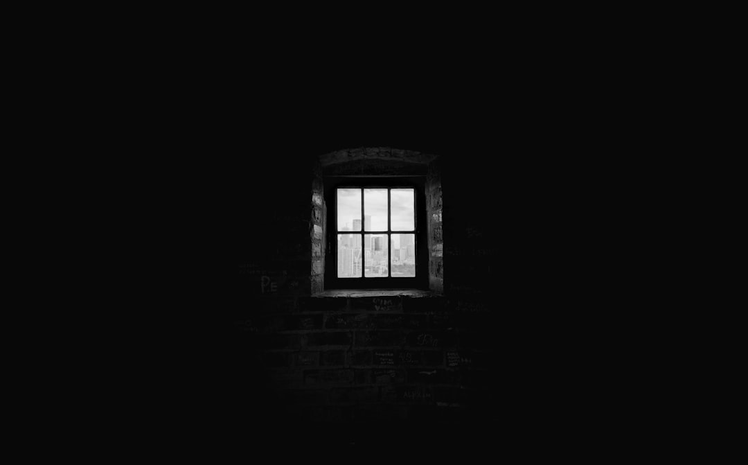  greyscale photography of window window