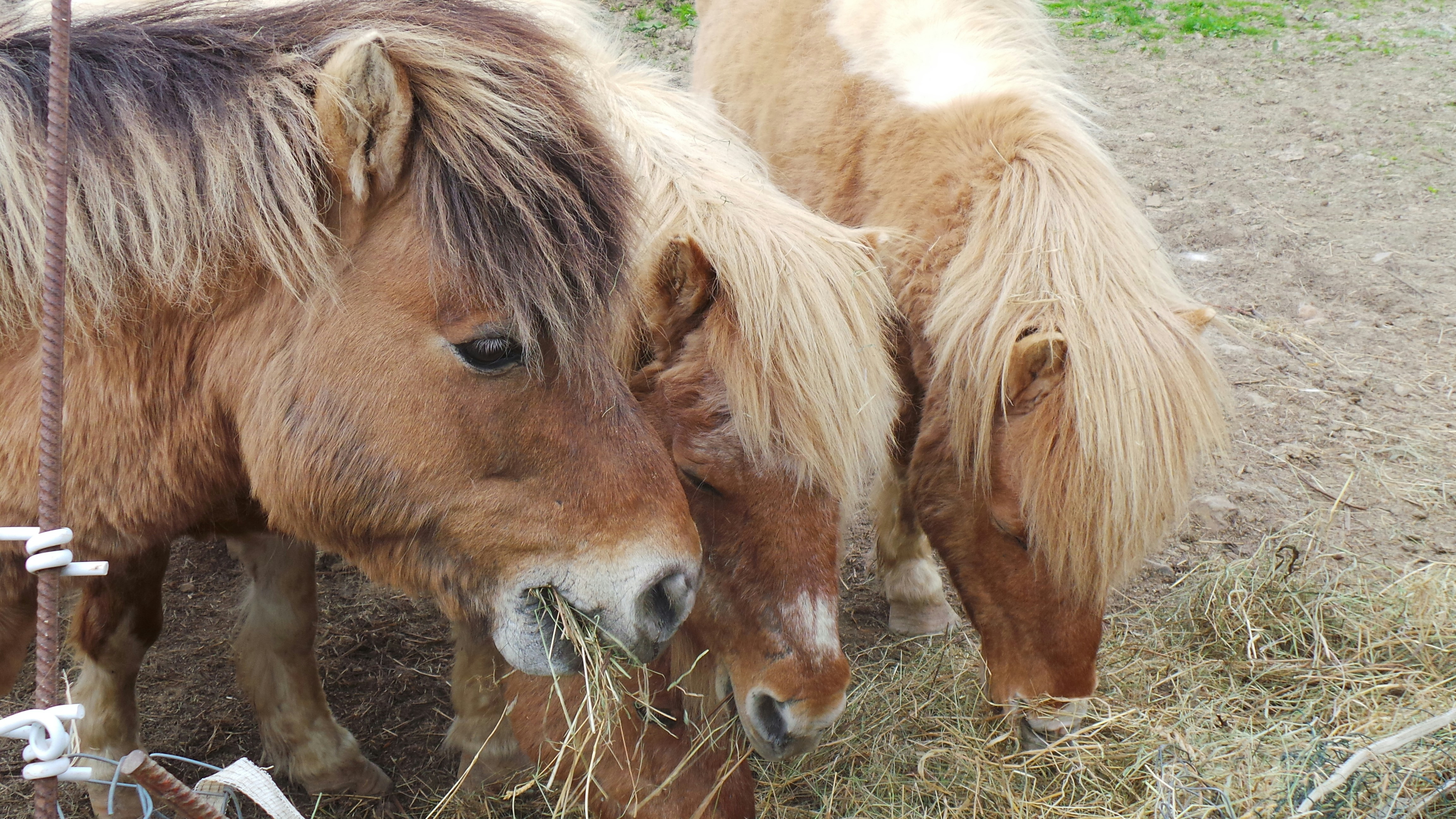 Photo by nathalieandre