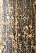Close-up of hands holding a well-worn Bible with a blue and gold cover