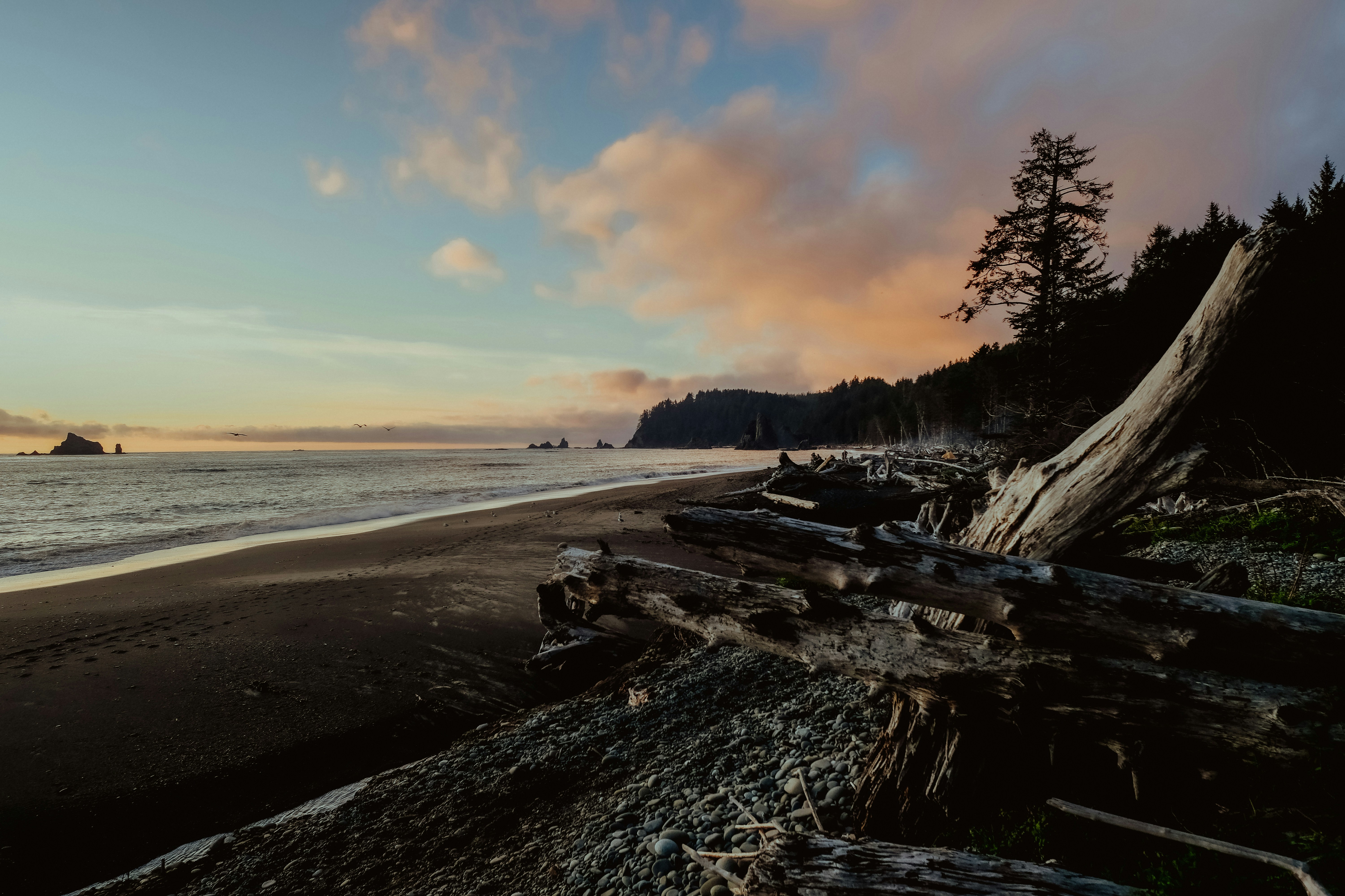 Photo by aylameinberg