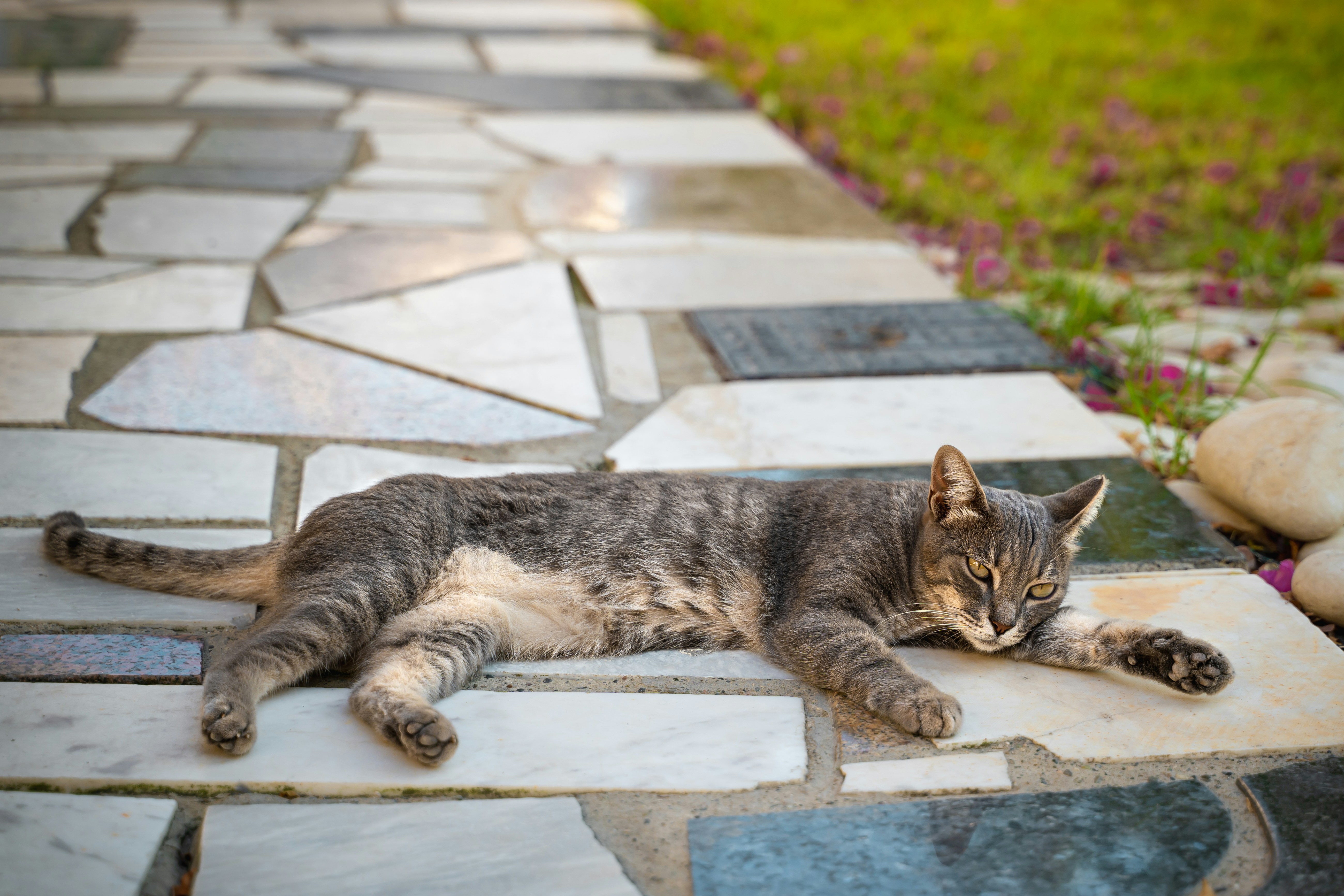 Photo by davidleveque