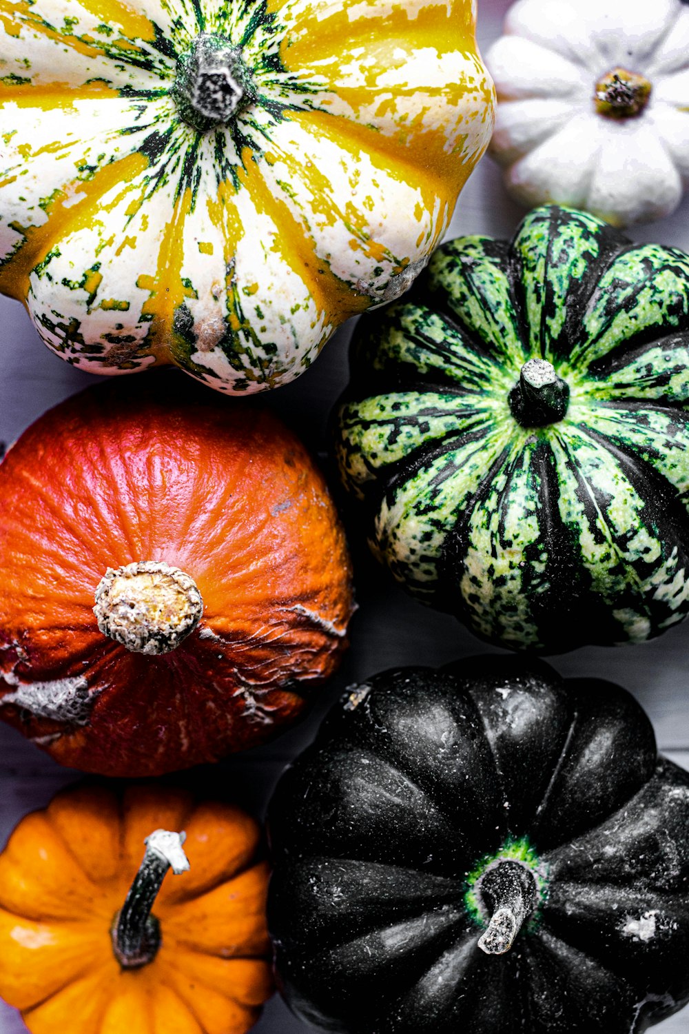 six assorted-colored squash