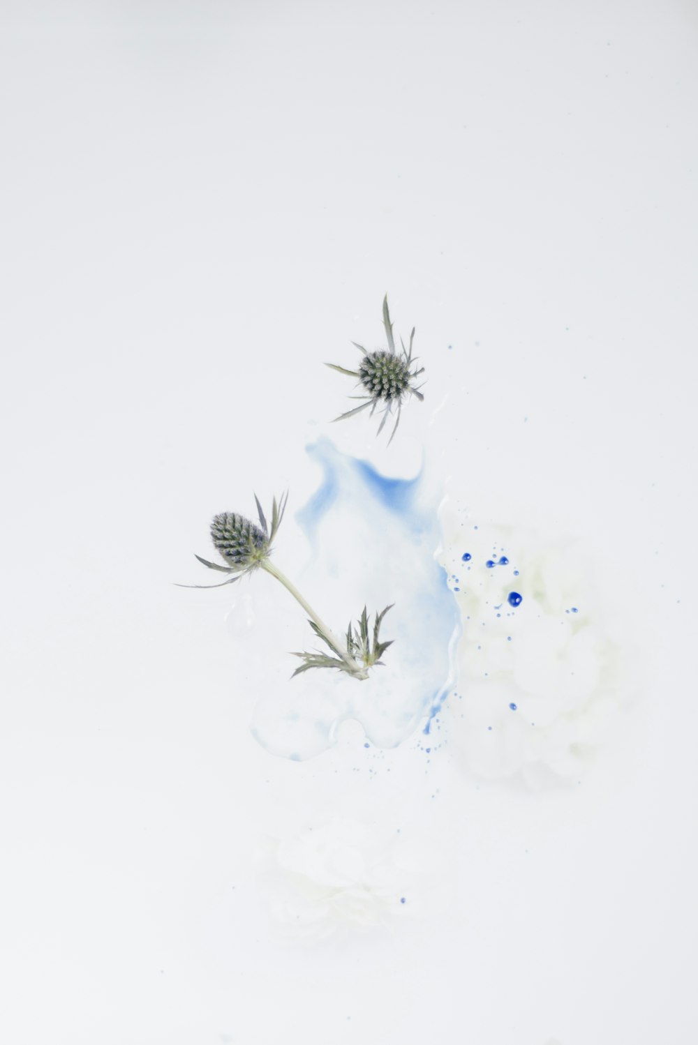Minimalist | 100+ best free minimalist, white, grey and background photos  on Unsplash