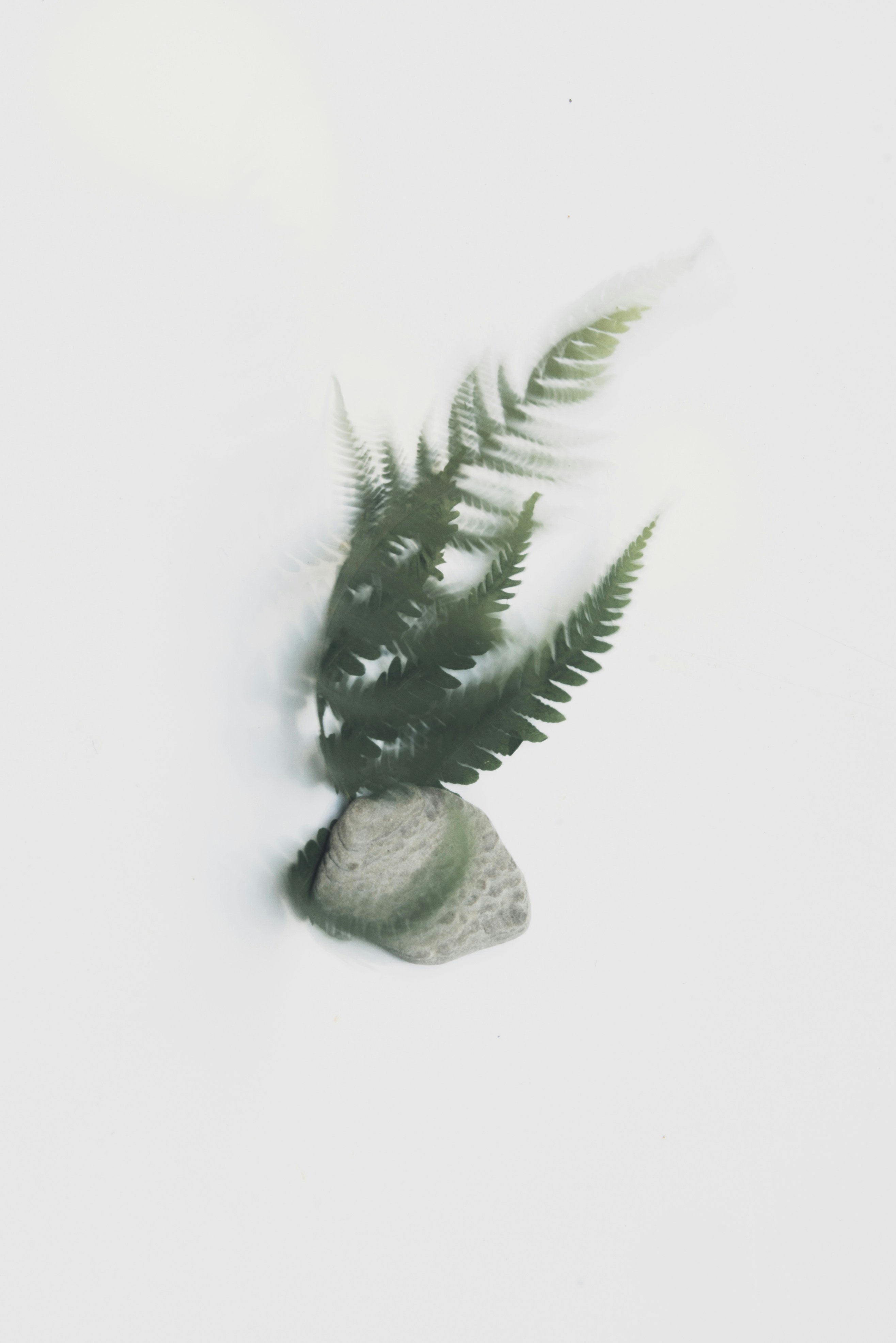 Photo by evieshaffer