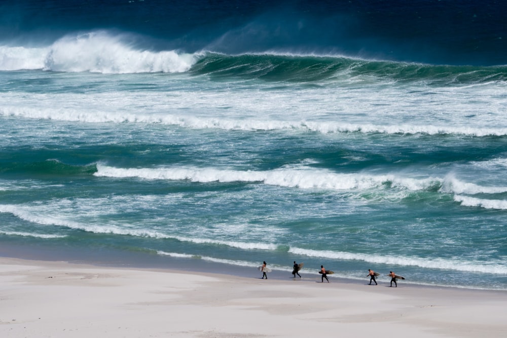 people carrying surfboard in seashore