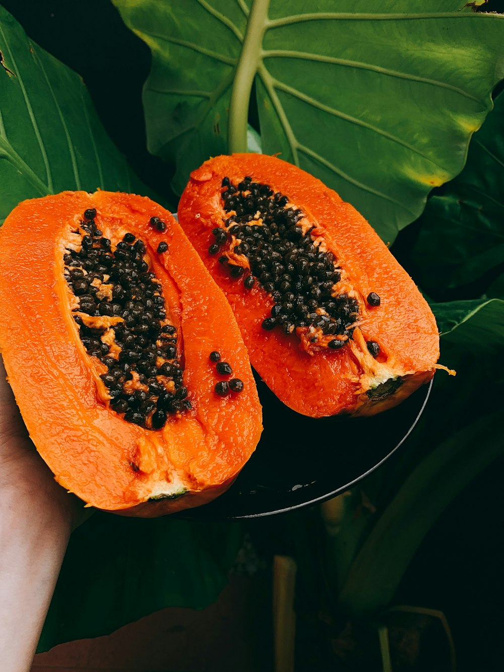 in Scheiben geschnittene Papaya-Früchte