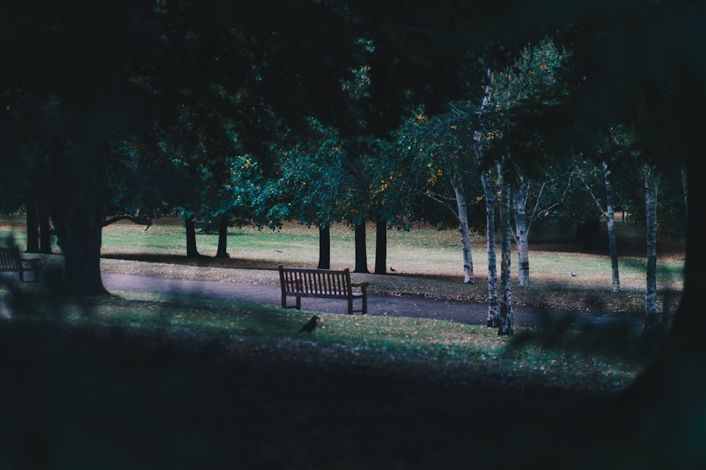 empty brown wooden bench