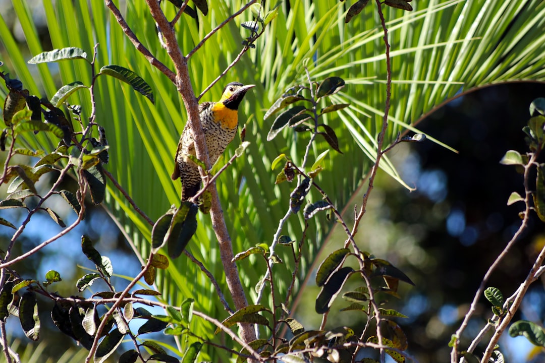 bird on plant