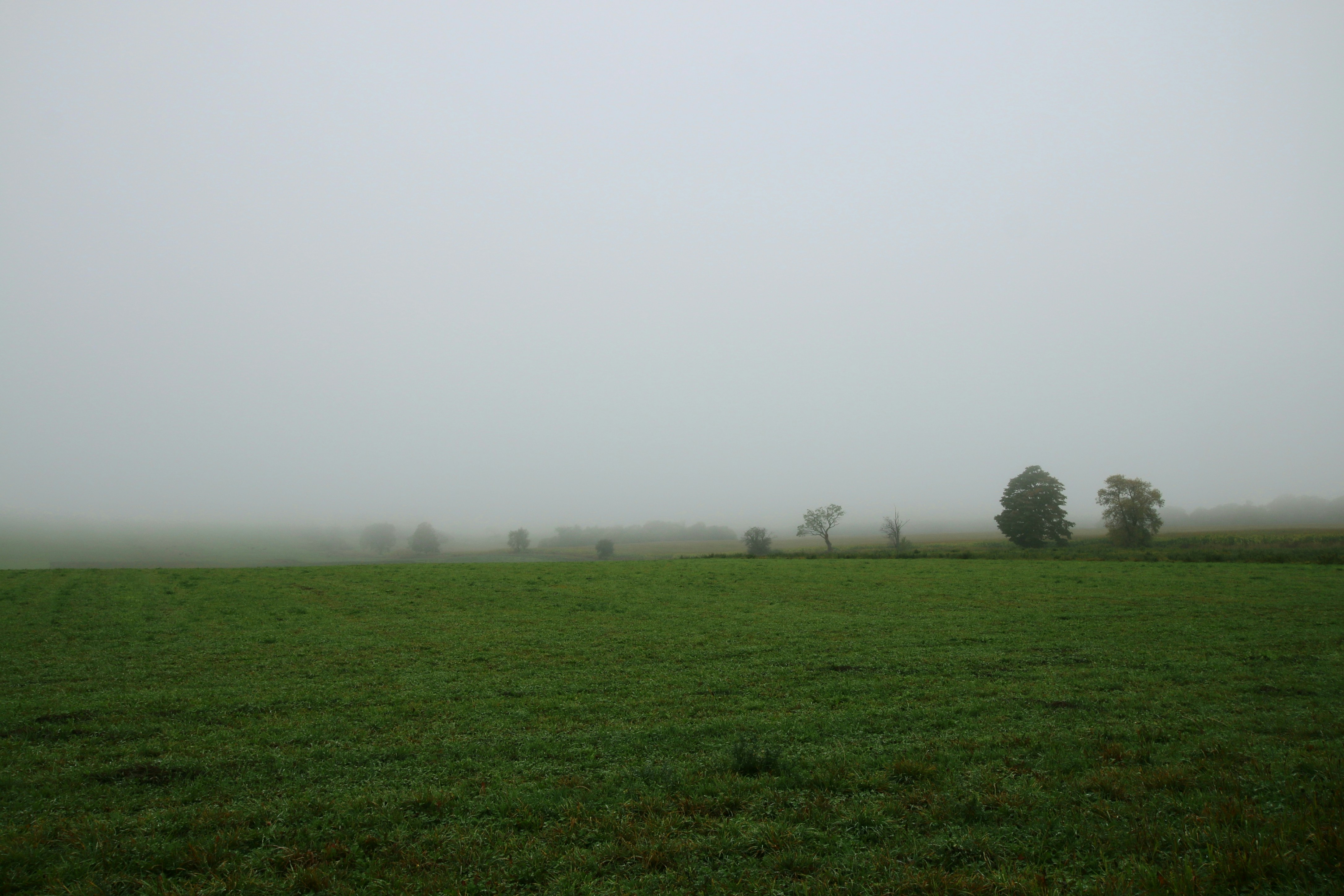 Photo by richardworks