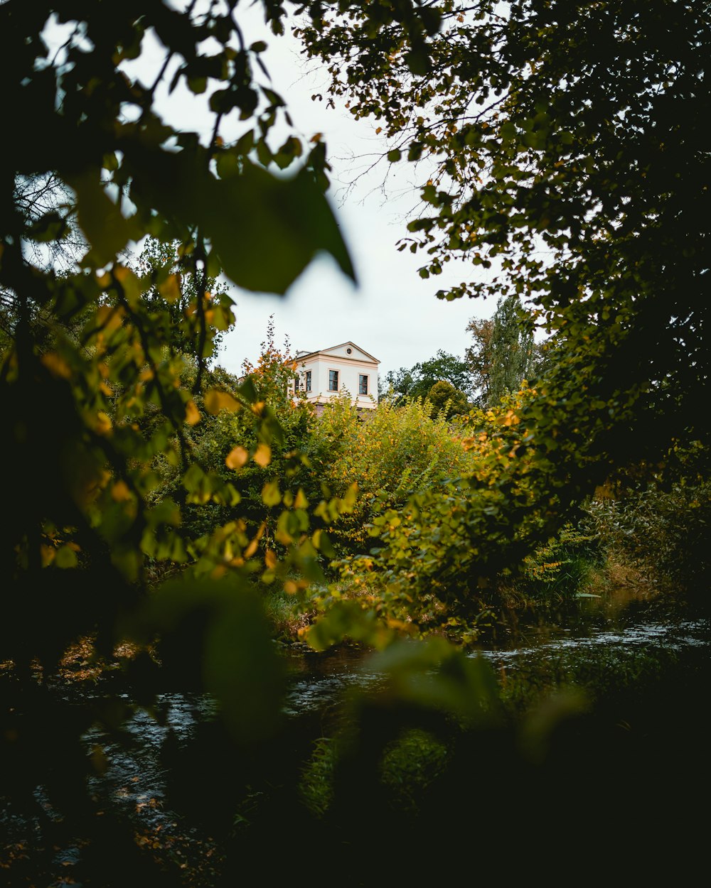 selective focus photo of house beside trees