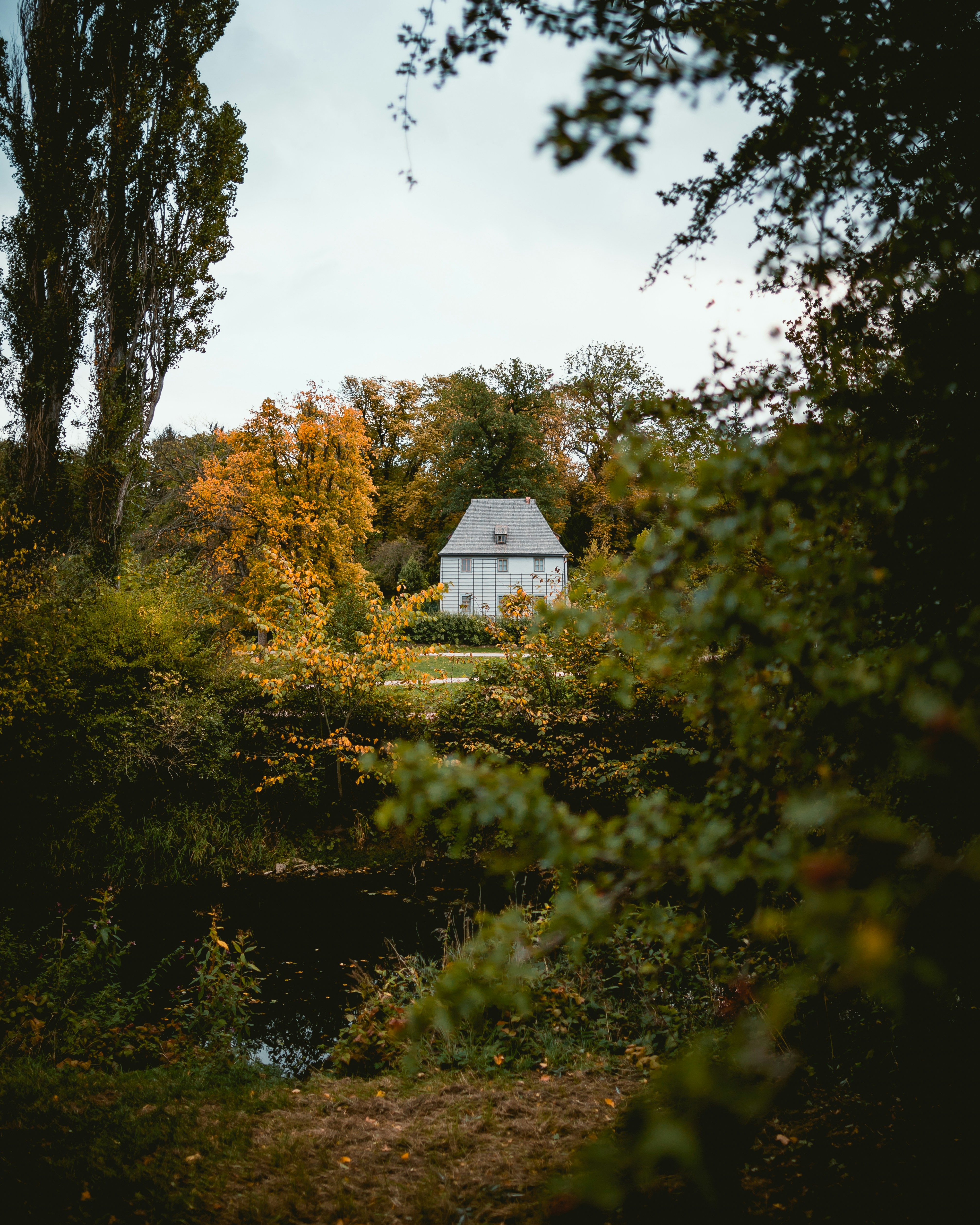 Photo by niklas_hamann