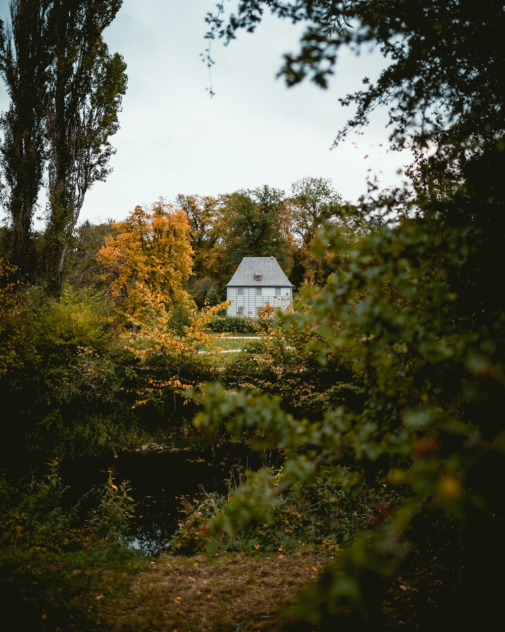 white house surrounded by trees