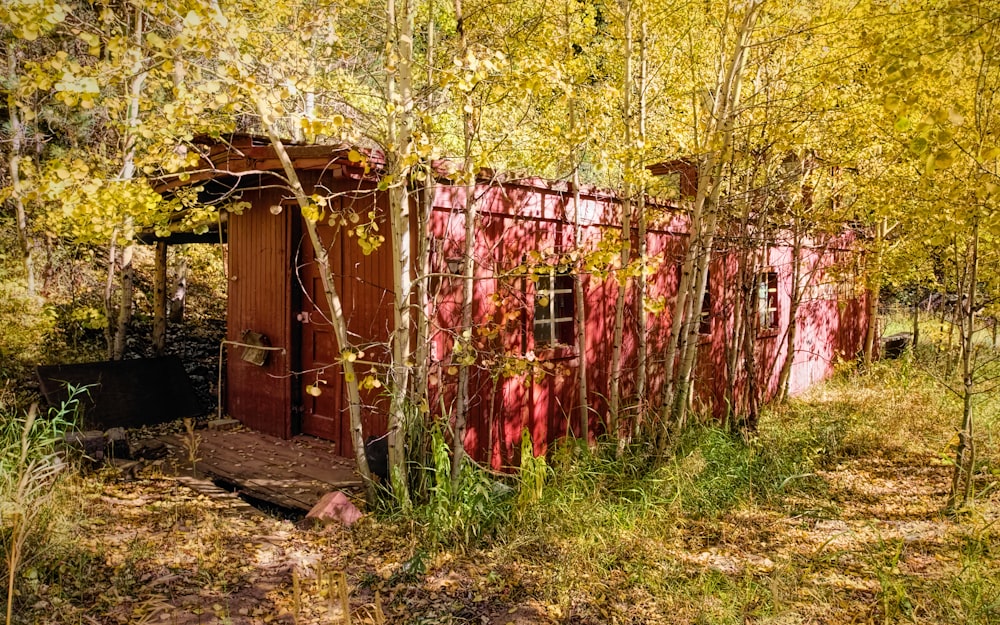 intermodal housing unit in forest