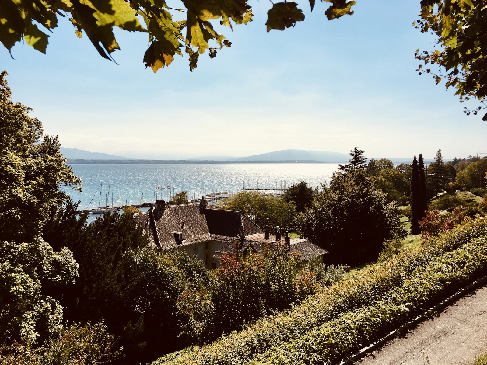 Site web pour agence immobilière à Nyon · spécificités de l'Arc lémanique