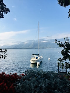 white speed boat