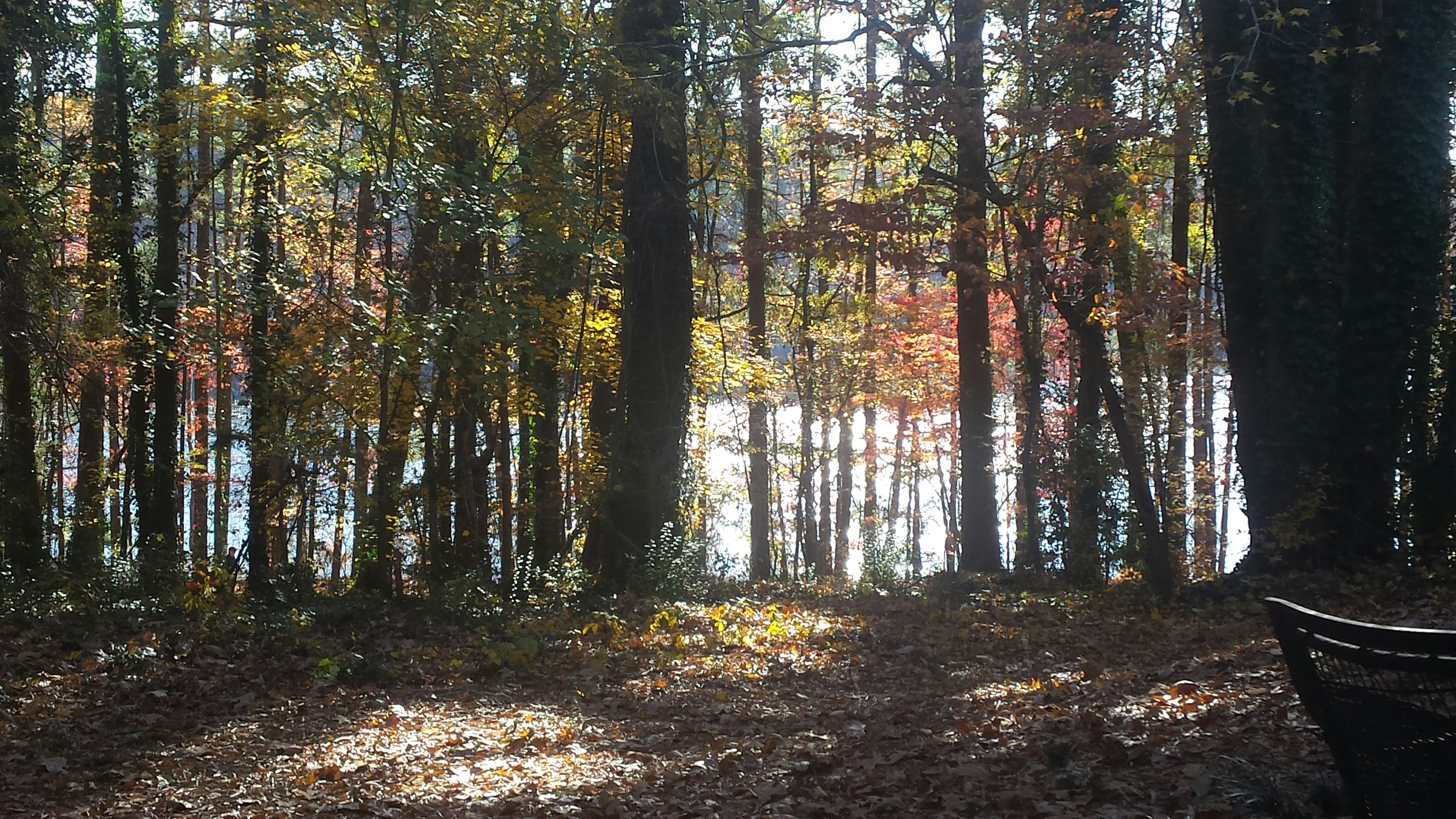Photo by uncg