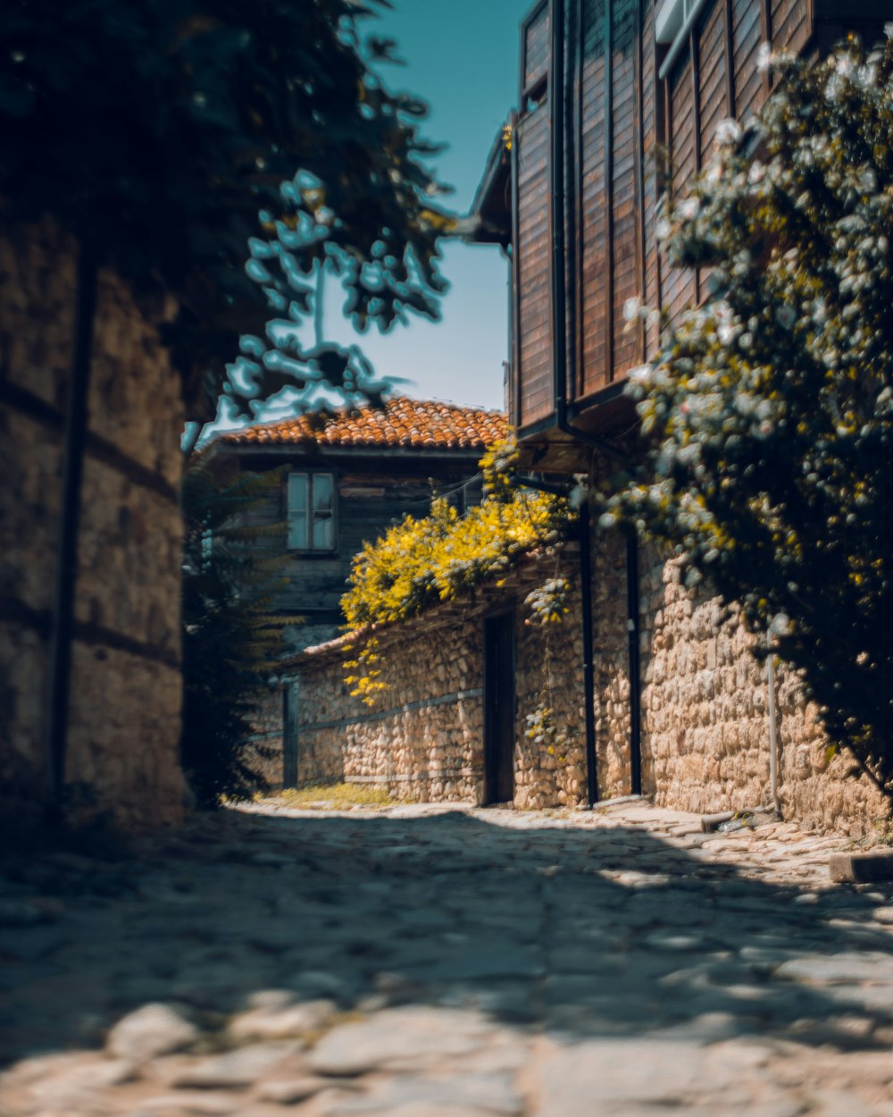 brown concrete house