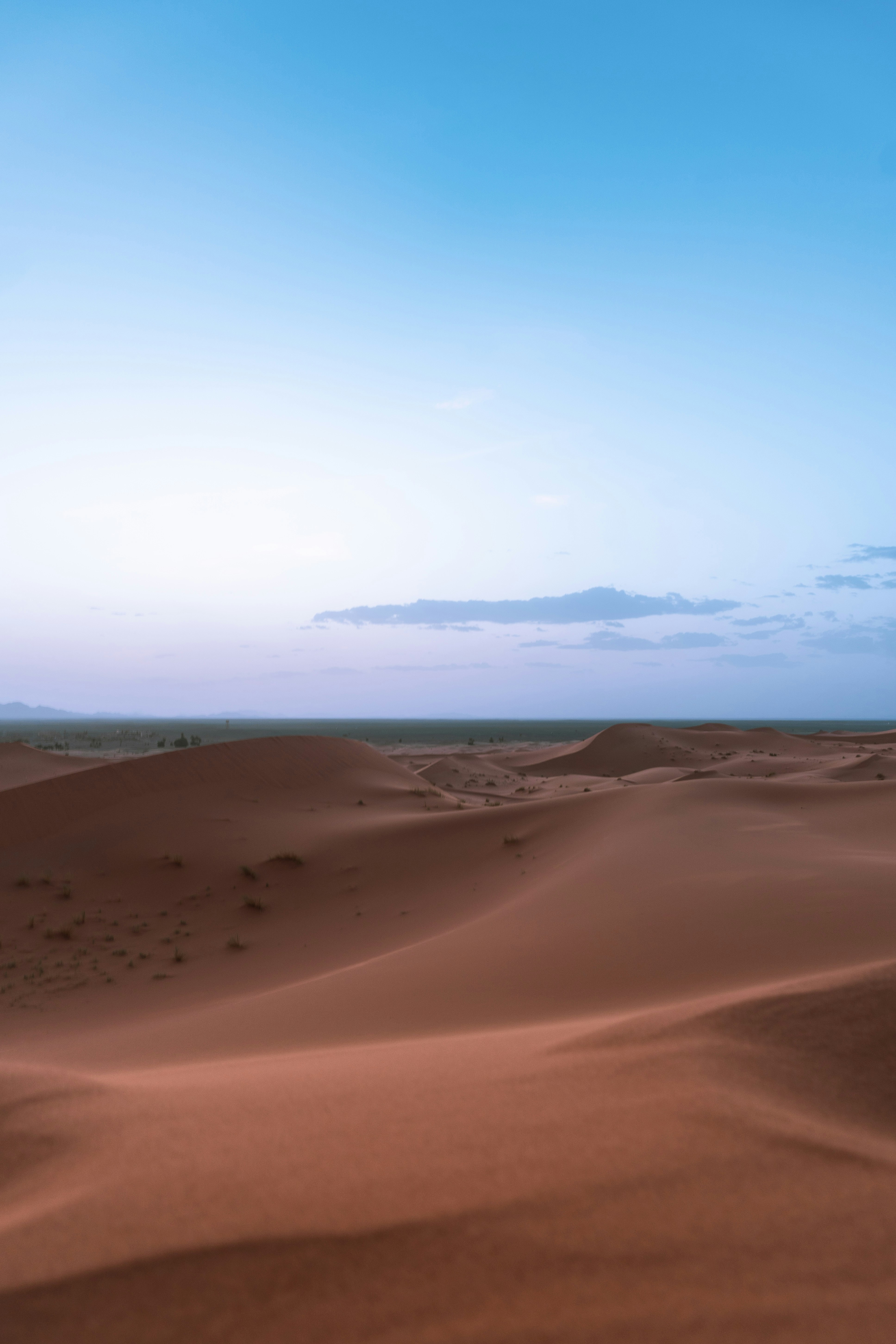 Photo by jeancarloemer