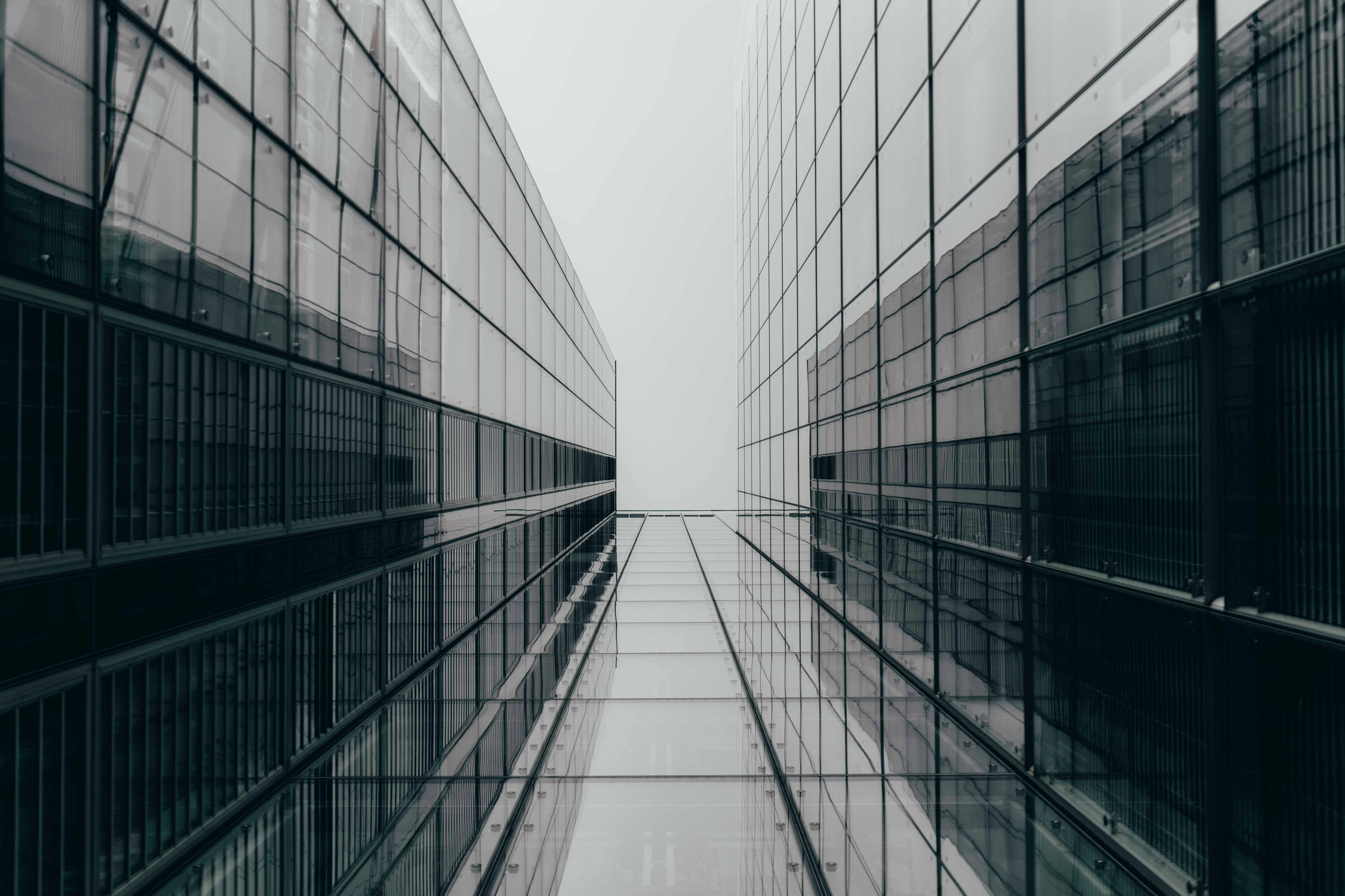 Photo by jakobustrop