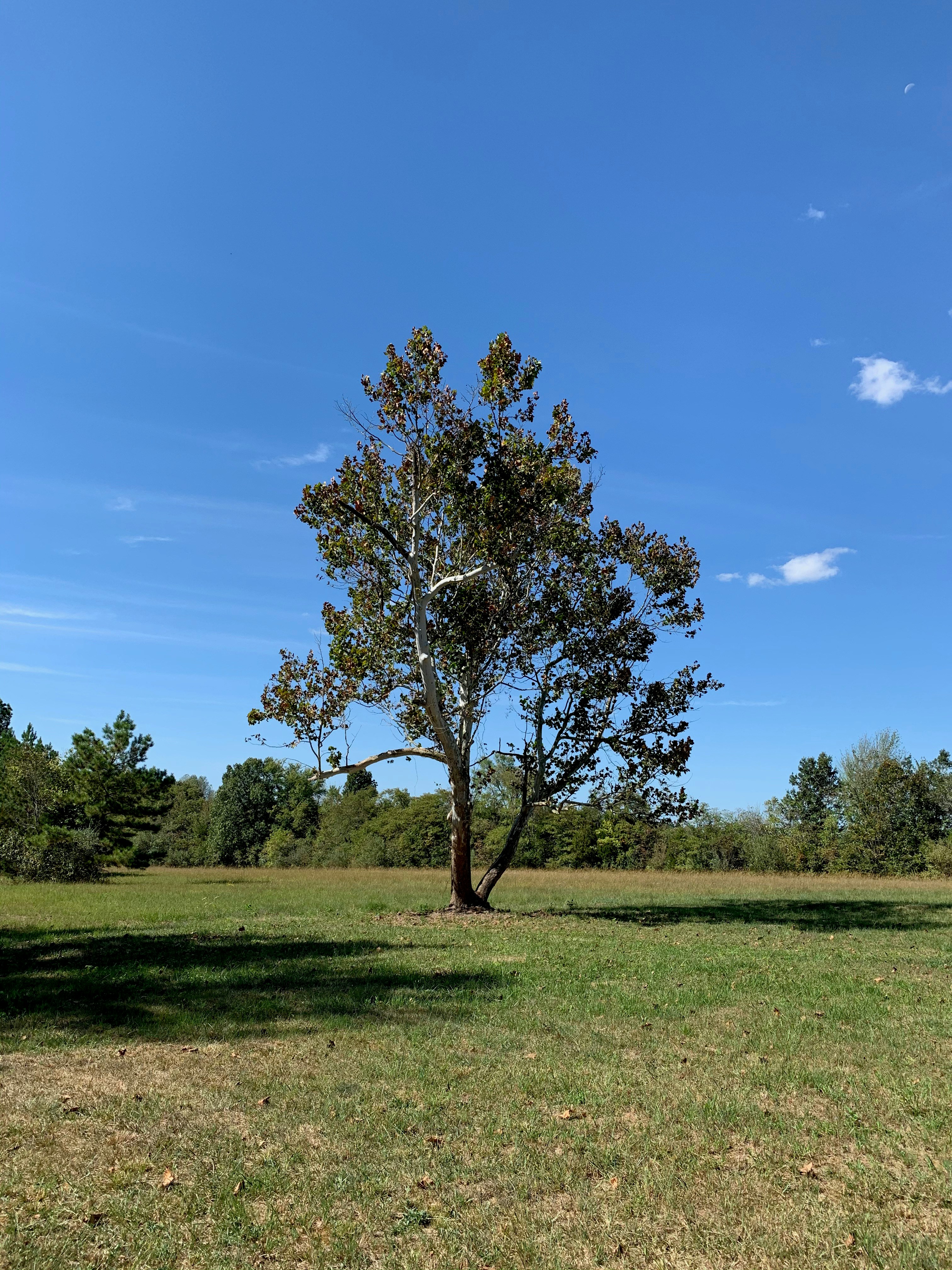 Photo by redplasticmonkey