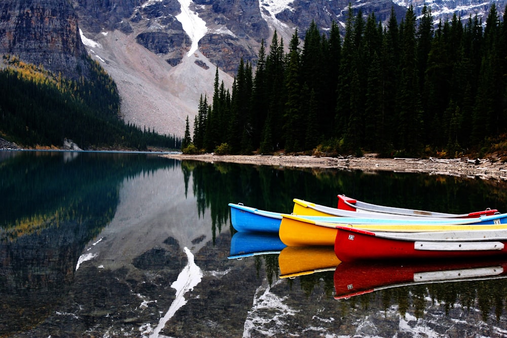 blue, yellow, and red canoe boats