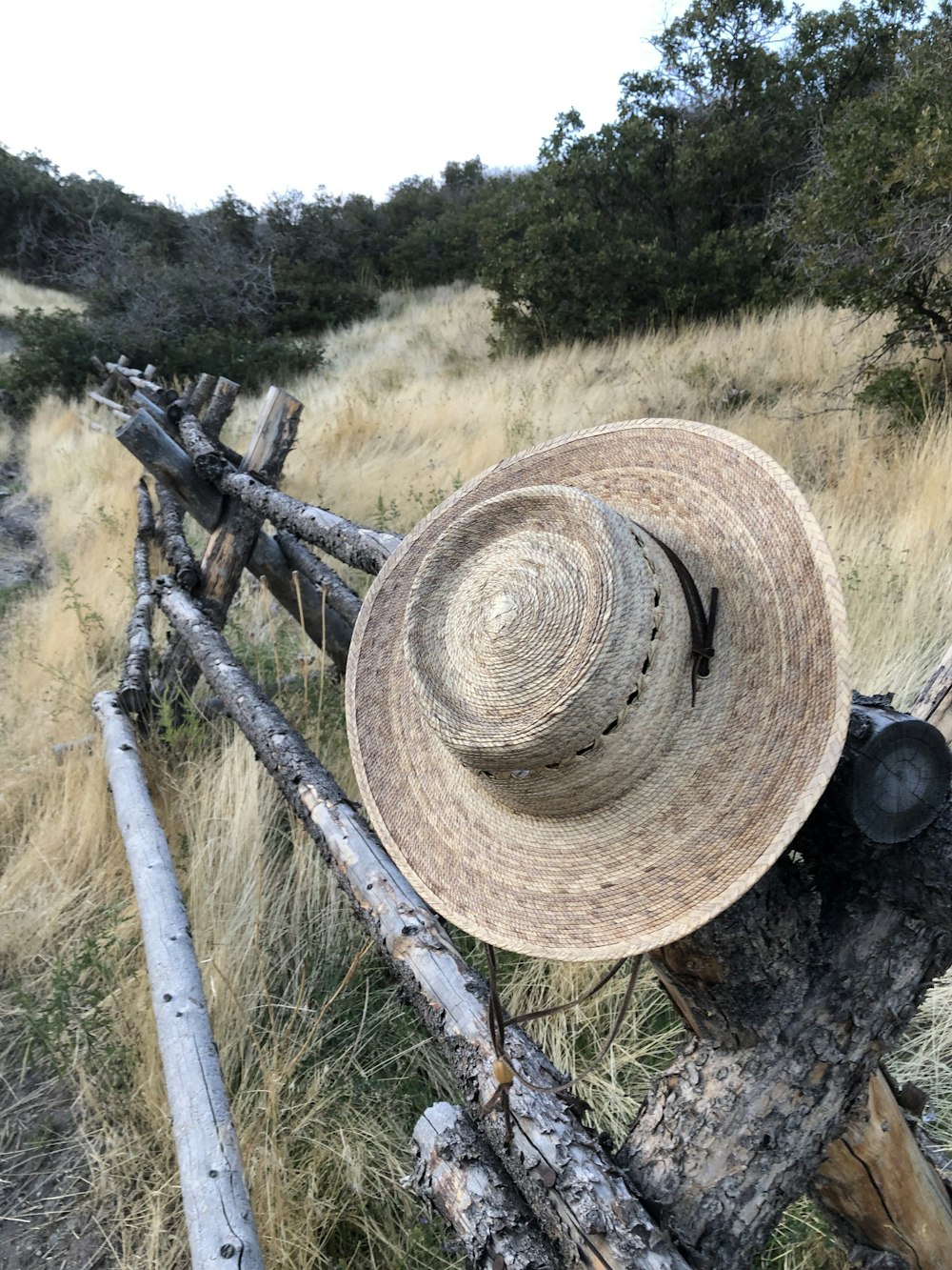 hat on wood fence