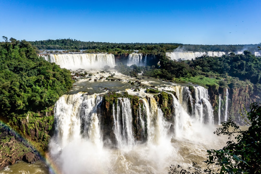 falls in forest