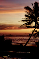 A serene beach at sunset on Príncipe island with calm waves and palm trees.