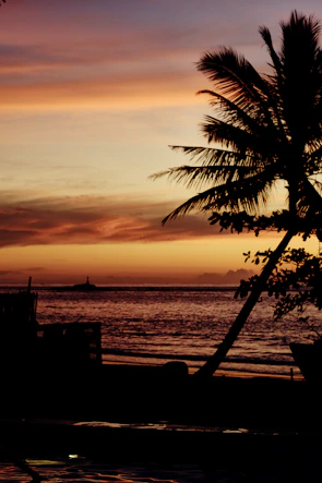 A serene beach at sunset on Príncipe island with calm waves and palm trees.
