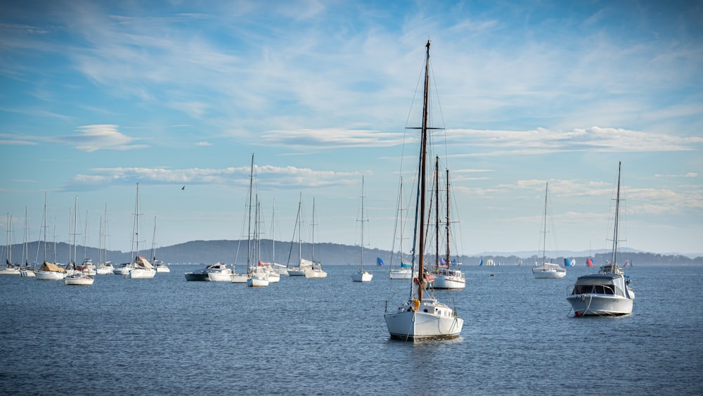 sailboats on body of water during daytime