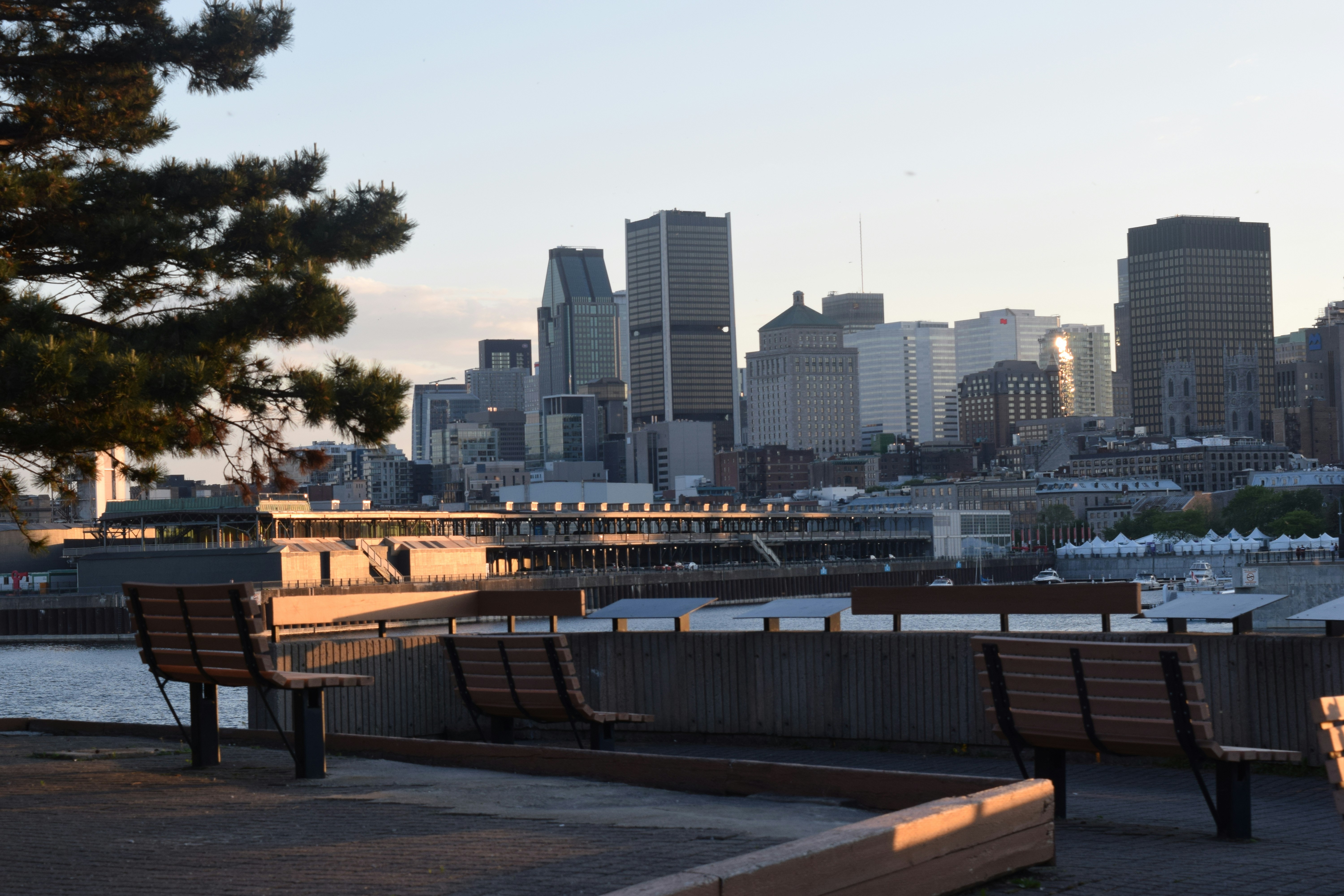 banco marrom perto da ponte
