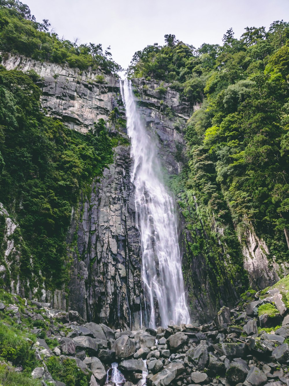 waterfalls surrounded by trees and grass