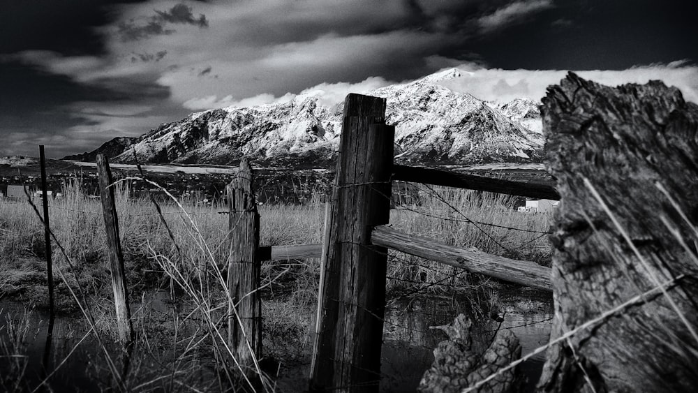 grayscale photo of fence and grass field